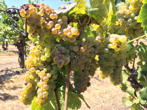 2014-08-25-14.44.50-HDR