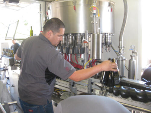 Bottling-With-Venge05